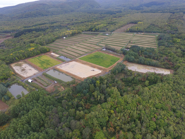 経営体初田地区４１工区